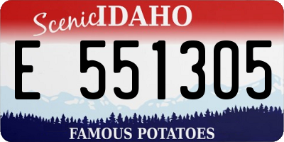 ID license plate E551305