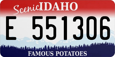 ID license plate E551306