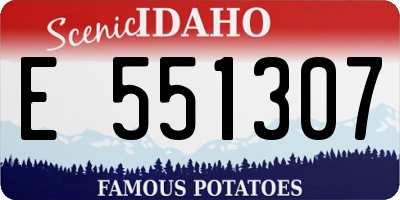 ID license plate E551307
