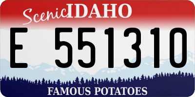 ID license plate E551310
