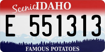 ID license plate E551313