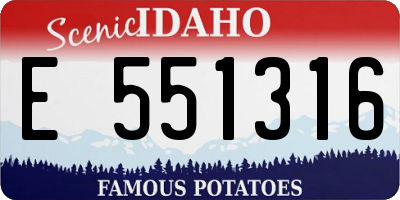 ID license plate E551316