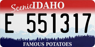 ID license plate E551317