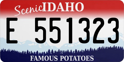 ID license plate E551323