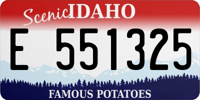 ID license plate E551325