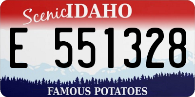 ID license plate E551328