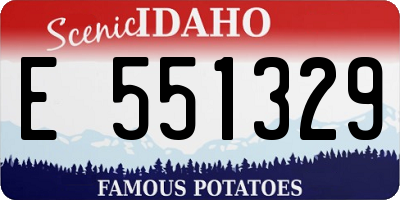 ID license plate E551329