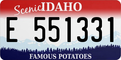 ID license plate E551331