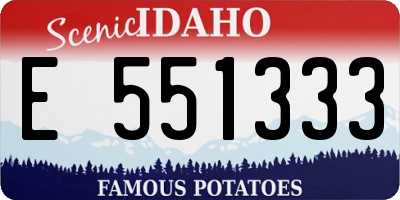 ID license plate E551333