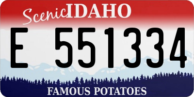 ID license plate E551334