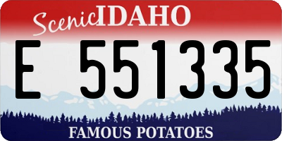 ID license plate E551335