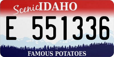 ID license plate E551336