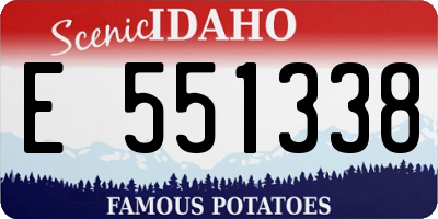 ID license plate E551338