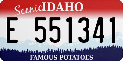 ID license plate E551341