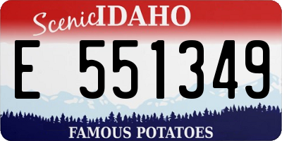 ID license plate E551349
