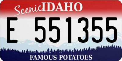 ID license plate E551355