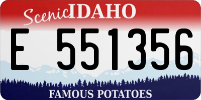ID license plate E551356