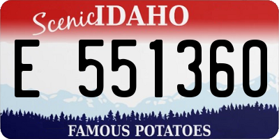 ID license plate E551360