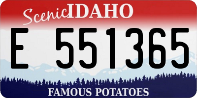 ID license plate E551365