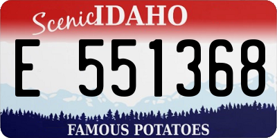 ID license plate E551368