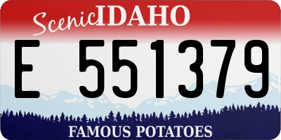 ID license plate E551379