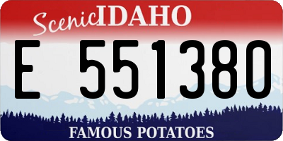 ID license plate E551380