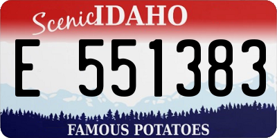 ID license plate E551383