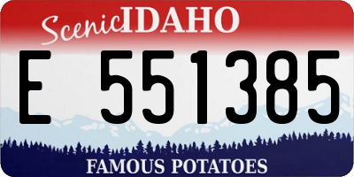 ID license plate E551385