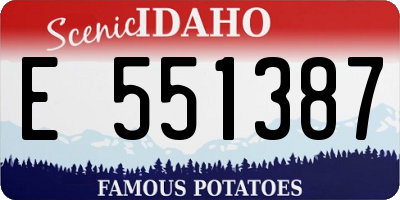 ID license plate E551387