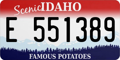 ID license plate E551389