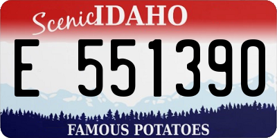 ID license plate E551390