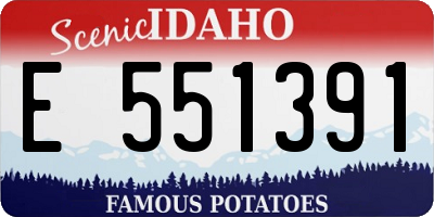 ID license plate E551391