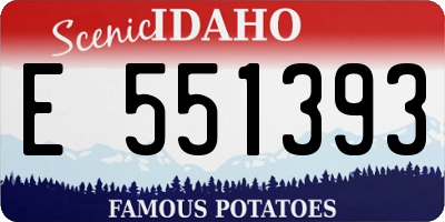 ID license plate E551393
