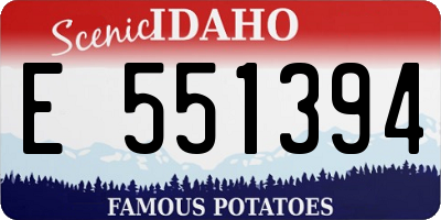 ID license plate E551394