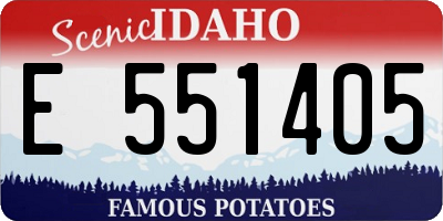 ID license plate E551405