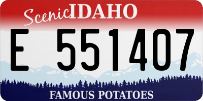 ID license plate E551407