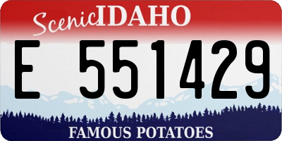 ID license plate E551429
