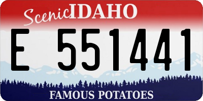 ID license plate E551441
