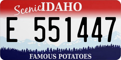 ID license plate E551447