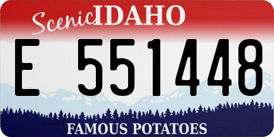 ID license plate E551448