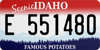 ID license plate E551480