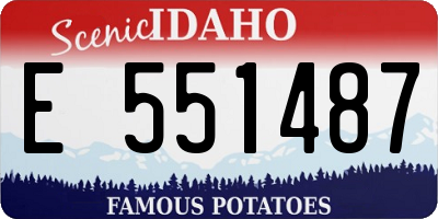 ID license plate E551487