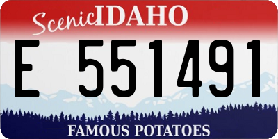 ID license plate E551491