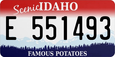 ID license plate E551493