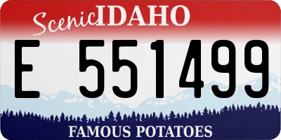ID license plate E551499