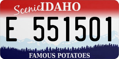 ID license plate E551501