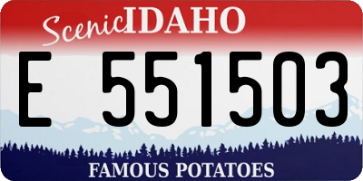 ID license plate E551503