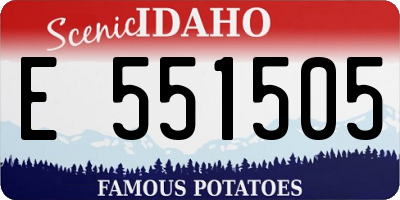 ID license plate E551505