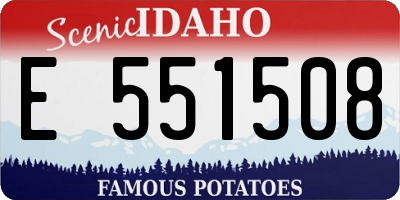 ID license plate E551508