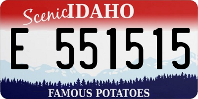 ID license plate E551515